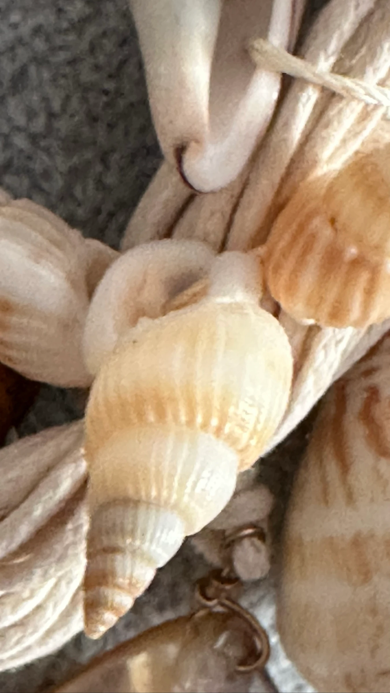 Colgante de verano – photo 4